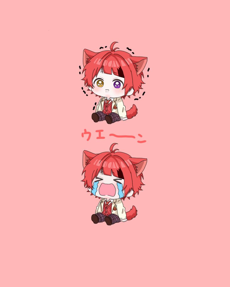 りあきゅる🐾♡ tweet media