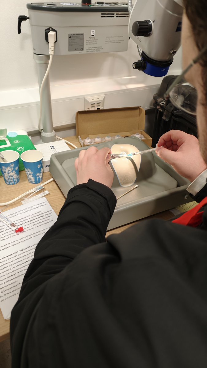 UCL & Moorfields Education tweet media