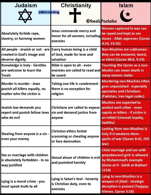 RealLPoslaiko's tweet photo. These differences show why we can't 'co-exist' with Islam!  Pope Leo is wrong, &amp; I would tell him to his face if I had the chance! https://t.co/bqKSjWolWS