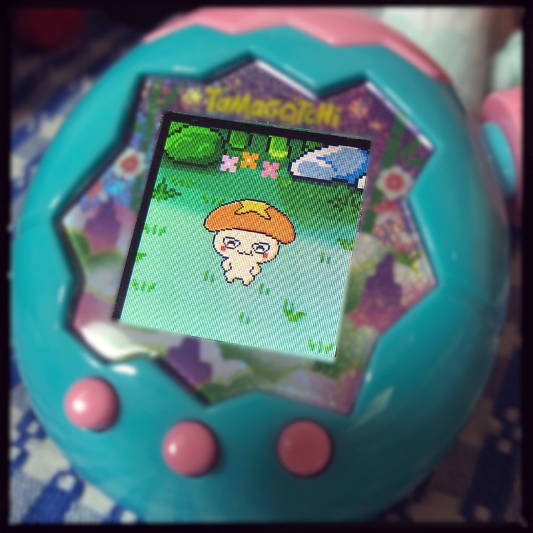 若松れおん🏯🍵🦊🎮レトロゲーム大好きキツネv tweet media