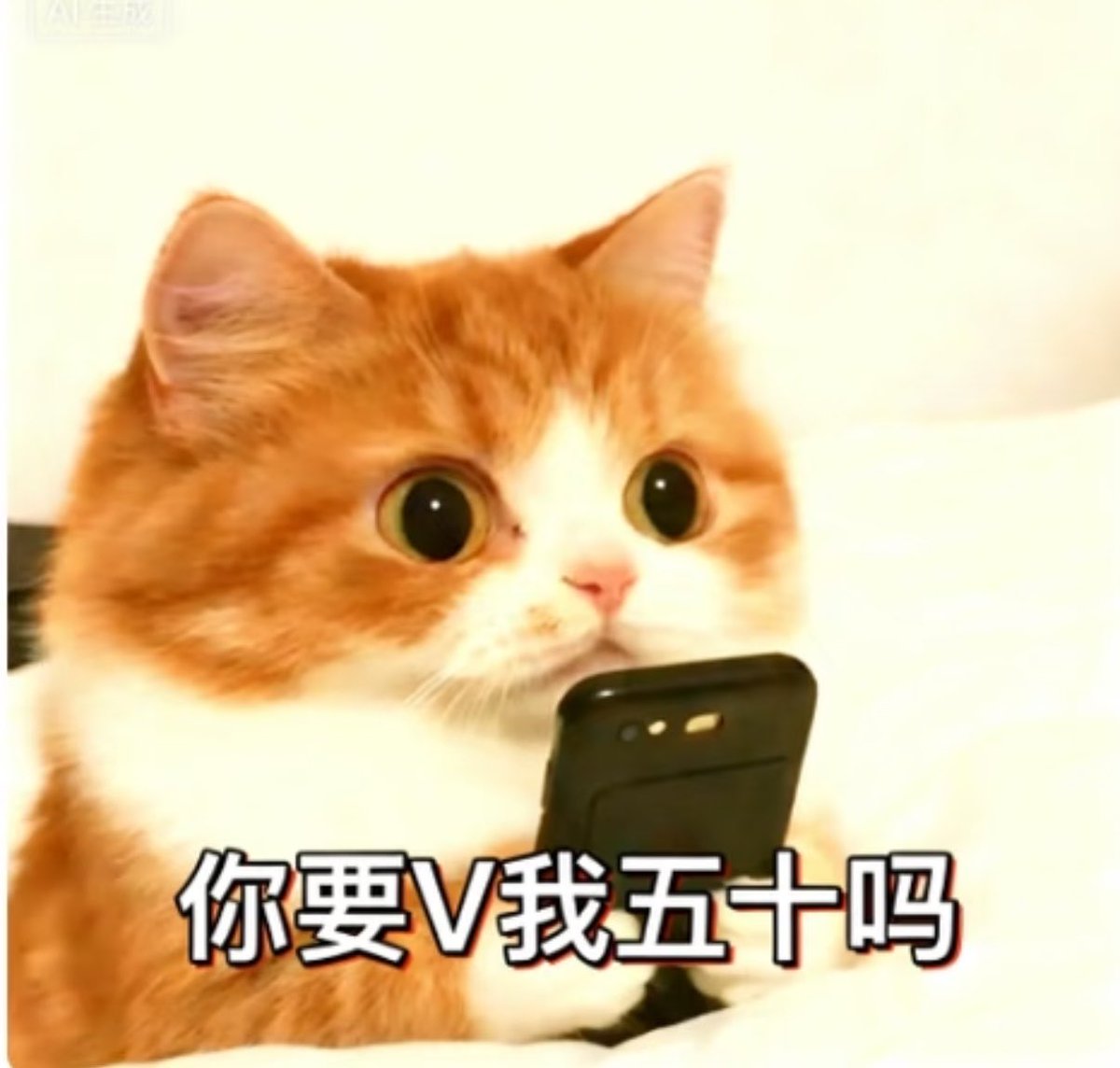 MOMO默默 tweet media