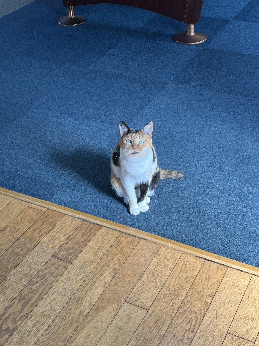 ビリヤードGET tweet media