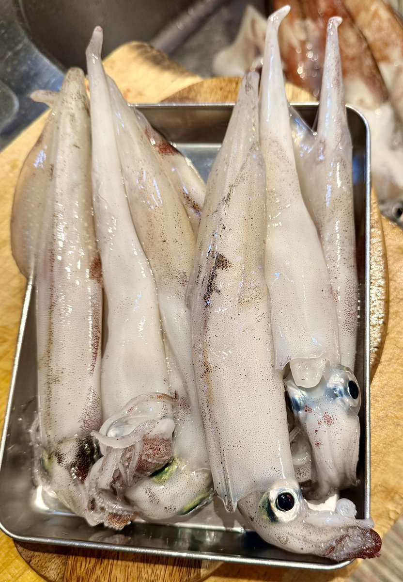 seribukristal's tweet photo. 本日の朝練✨✨
勝浦沖ヤリイカ🦑
フルでヤリイカ船乗るのは初！
プラ角の扱いに慣れたくて
頑張ってきた！
朝イチいきなりパラソル級
3連キター✨その後はサバ！サバ！サバ！
何とかポツポツ拾い釣り
12杯で終了🦑
#船釣り　#ヤリイカ　#勝丸 https://t.co/NoaNiIUQ5H