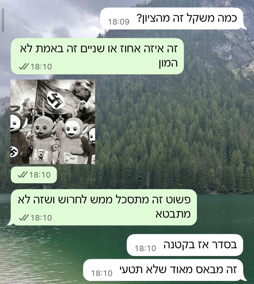 מאיה tweet media