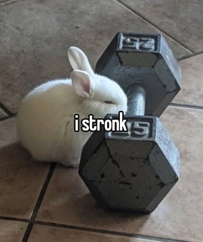 WHY YOU SHOULD HAVE A BUNNIES tweet media
