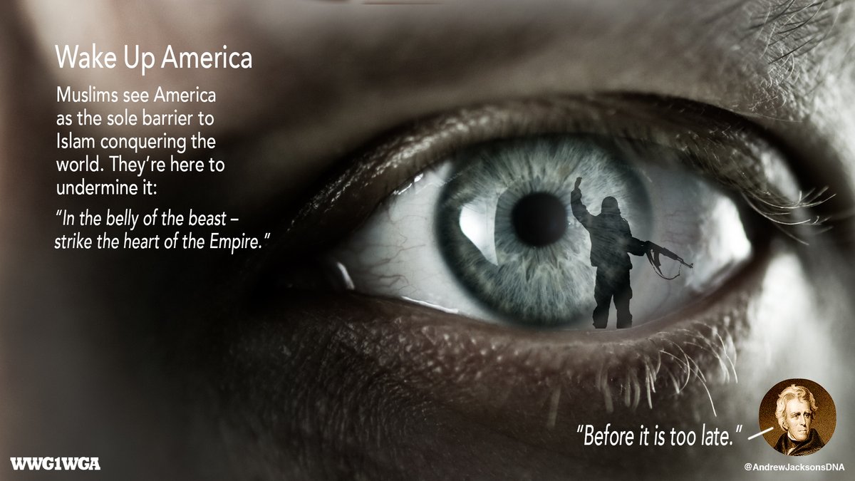 AndrewJacksonsDNA tweet media