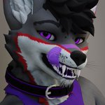 Photo by Timber (@hungry_folf)