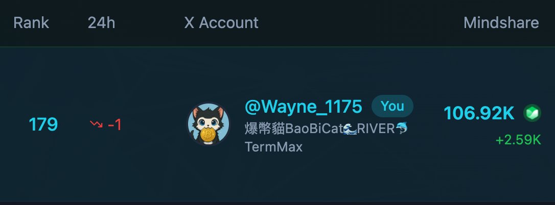 爆幣貓BaoBiCat🌊RIVER🐬TermMax tweet media