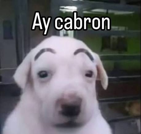 Rayo_11 tweet media