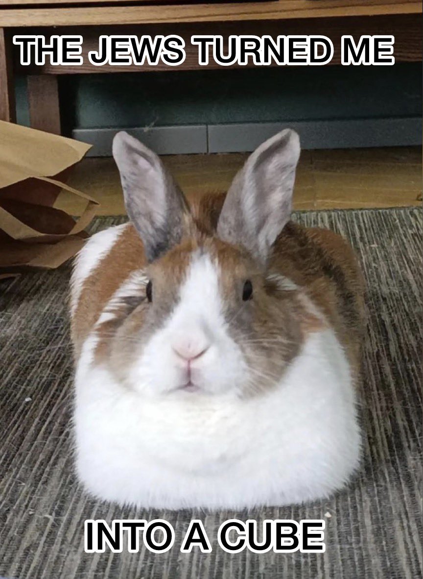 Bunnymaxxer tweet media
