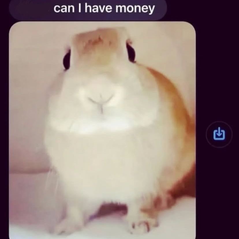 IAMEMO1231's tweet photo. i have 10% interest on my school loans i’m willing to do something strange for a piece of change atp https://t.co/q6LHNHOSd2