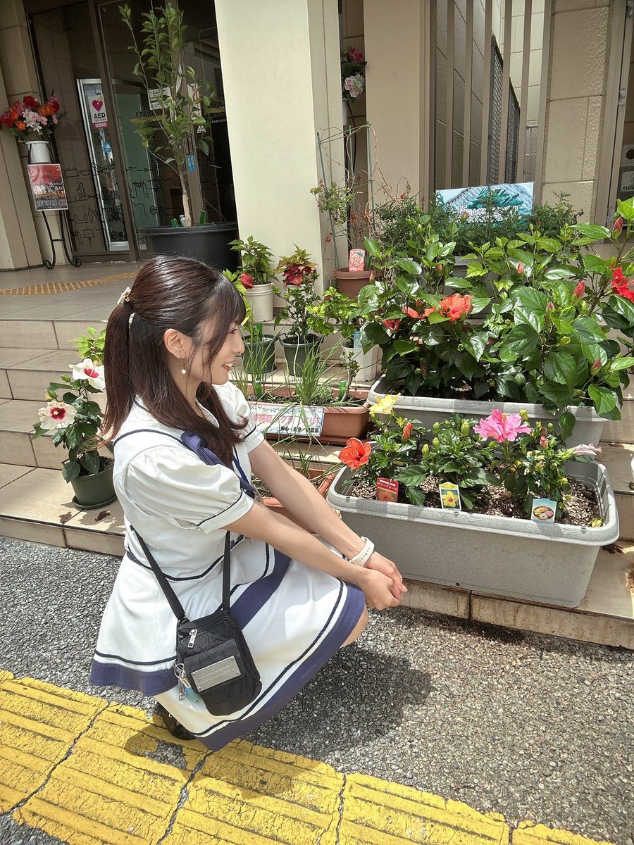 のん♡ いろんな種類のハイビスカス咲いてて 可愛かった🌺💕