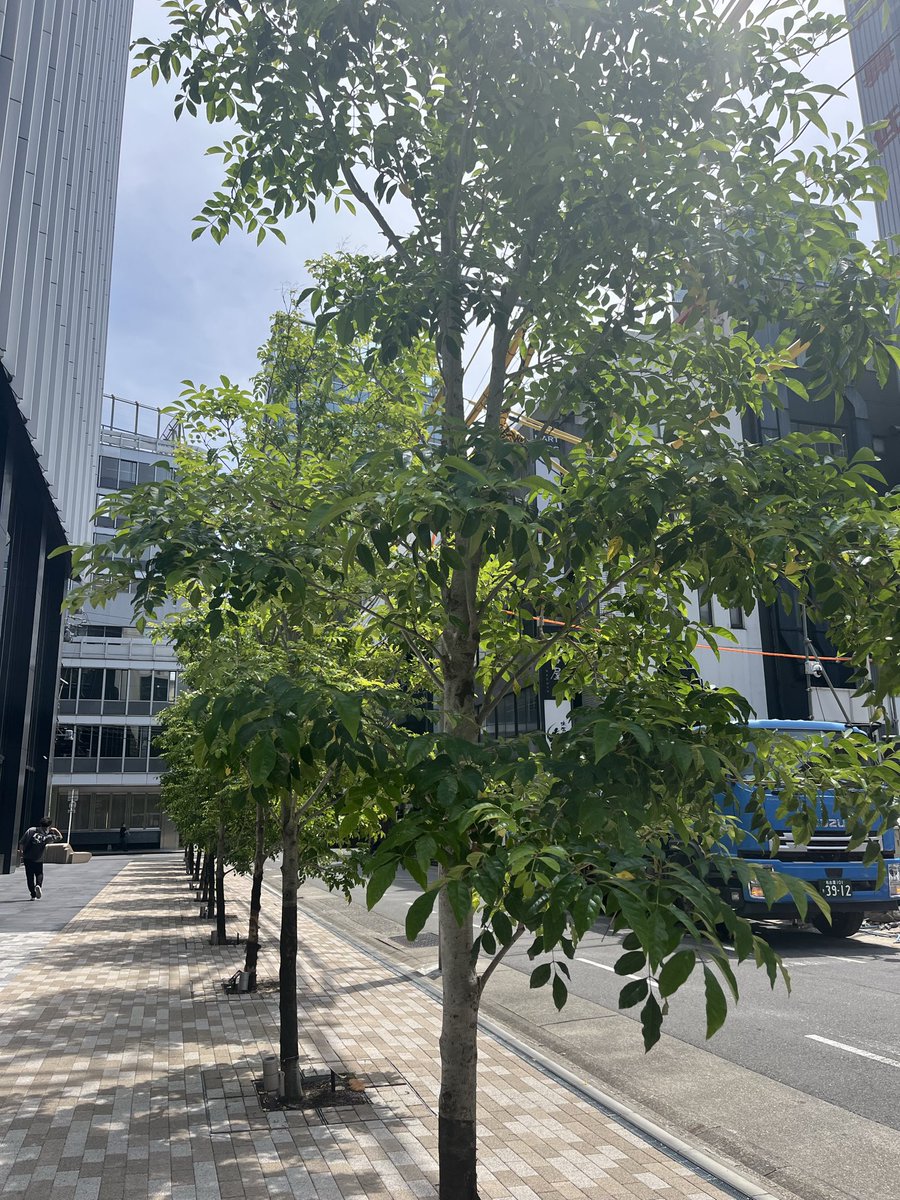 松岡そう｜名古屋の社労士 Green Square tweet media