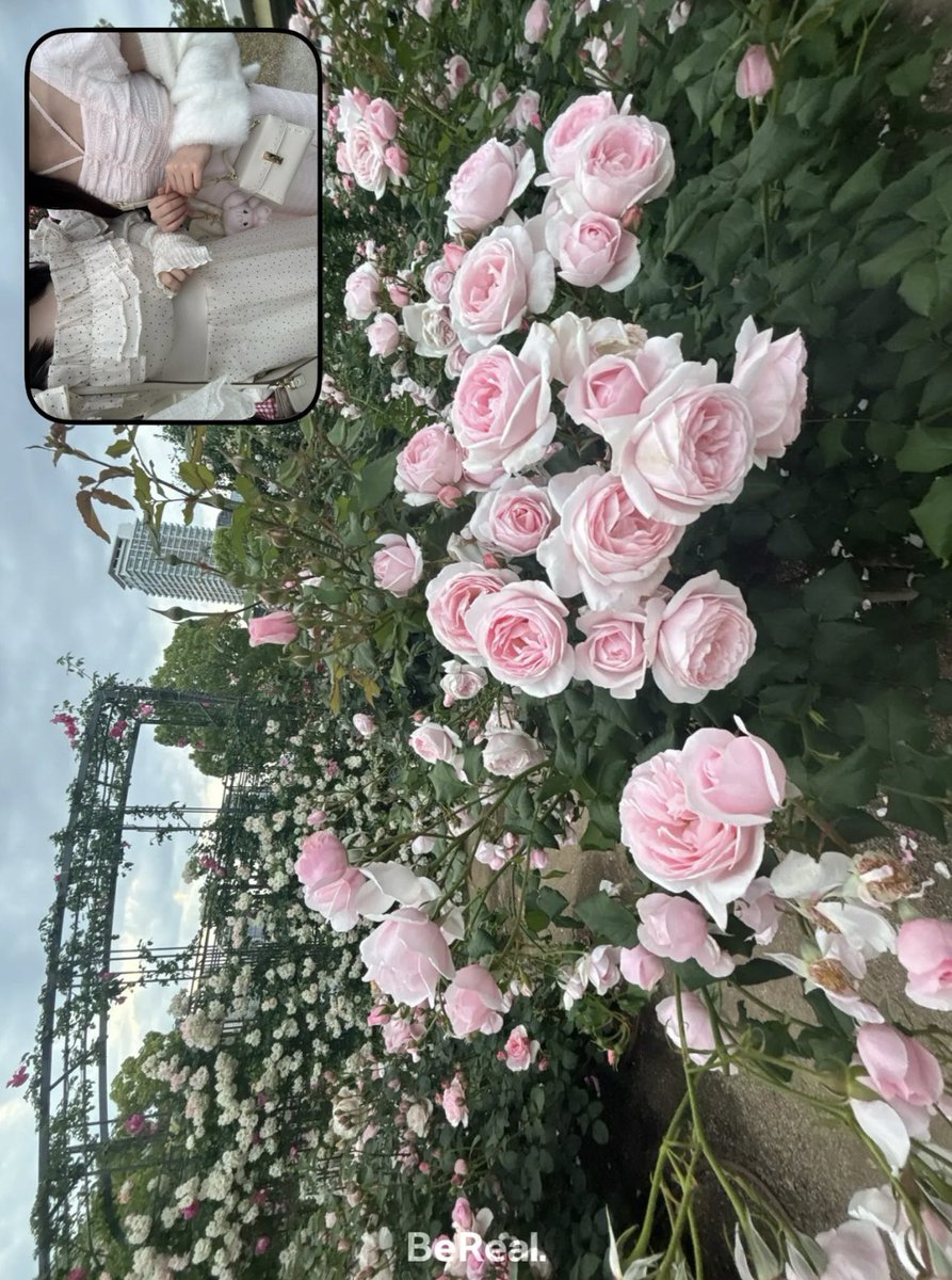 nj7tp's tweet photo. （ ܸʚ̴̶̷̷⩊ʚ̴̶̷̷ ܸ）♥ https://t.co/33q2EvdAH4