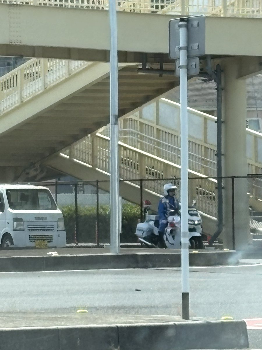 ルーさん ECせら〜 tweet media