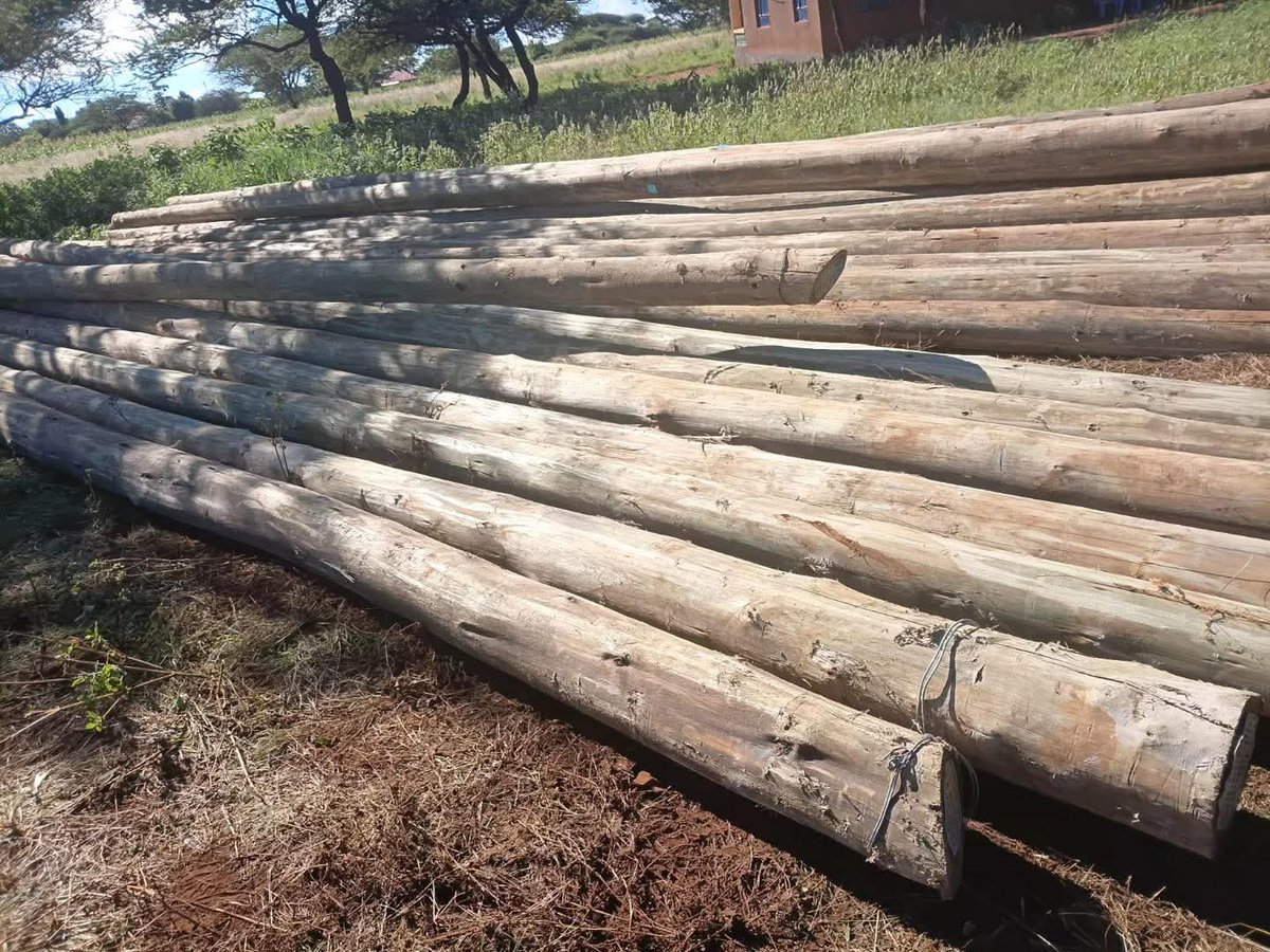 bwiretaveta's tweet photo. 2027 ni works za msee zitamueka rada 😅

Chuga Boy ameland Chala Kati A na agenda ni kusambaza stima ⚡. 130+ homes zinaingia kwa grid.

Vile na-pull hizi moves, wasee wa Chala Kati A wanasema Tutam inanihusu 😂🔥

Ni mbaya✌️✌️ https://t.co/hiqmarXwZx