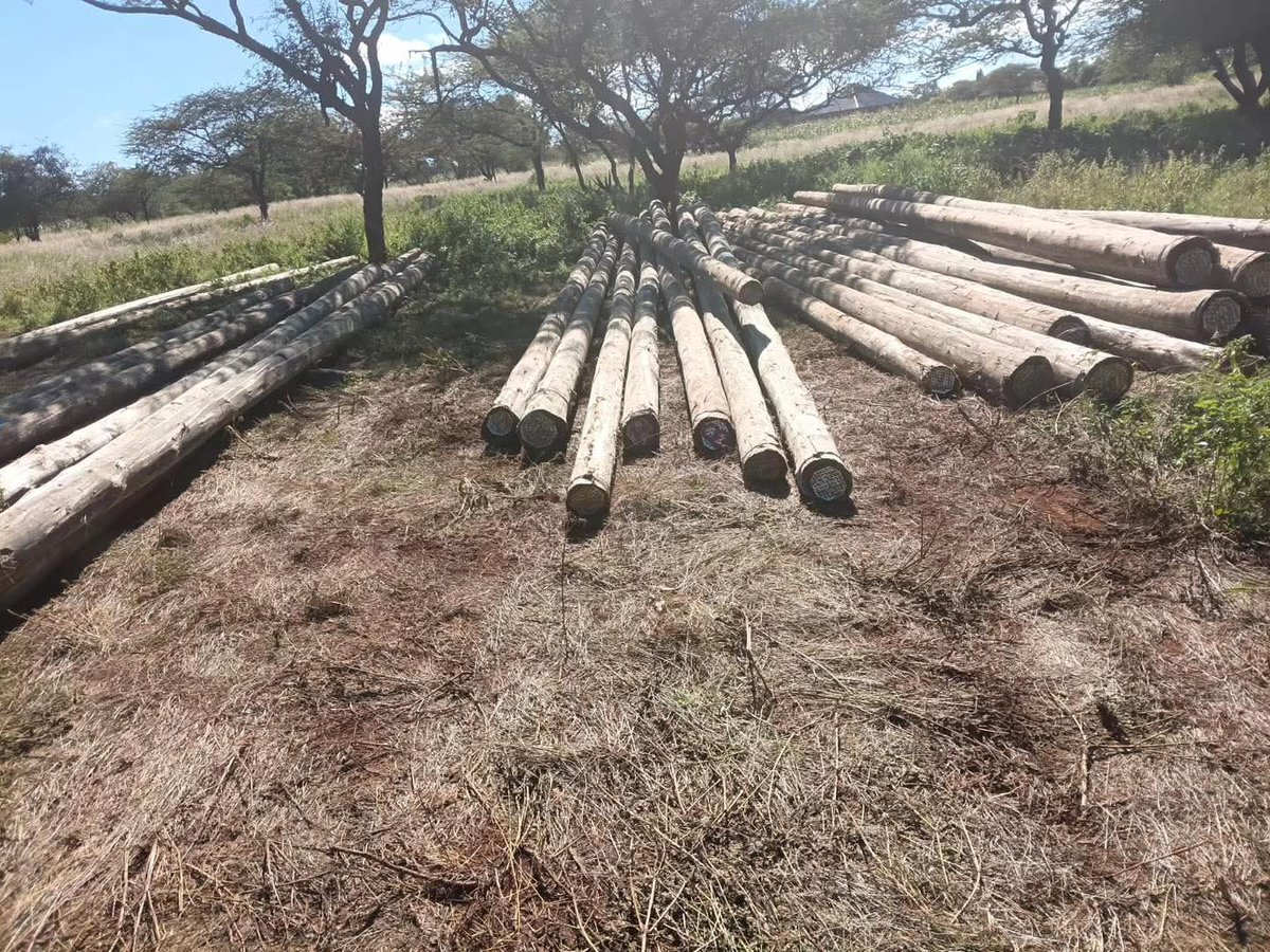 bwiretaveta's tweet photo. 2027 ni works za msee zitamueka rada 😅

Chuga Boy ameland Chala Kati A na agenda ni kusambaza stima ⚡. 130+ homes zinaingia kwa grid.

Vile na-pull hizi moves, wasee wa Chala Kati A wanasema Tutam inanihusu 😂🔥

Ni mbaya✌️✌️ https://t.co/hiqmarXwZx