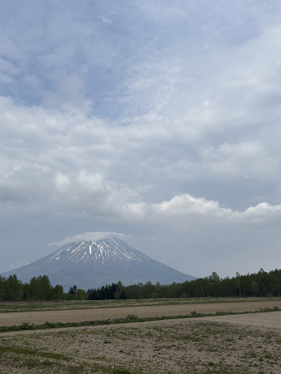 藤瀬 雪 tweet media