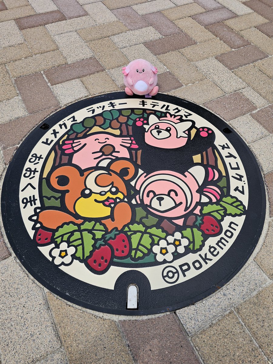 ♨️メッチ🥊 tweet media