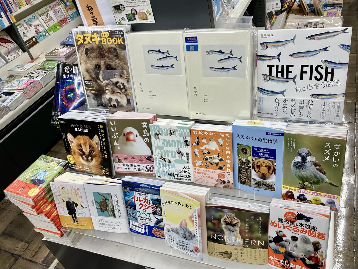 日本懐かし大全シリーズ/辰巳出版 毎週プレゼント📚️ (@natsukashi_jp