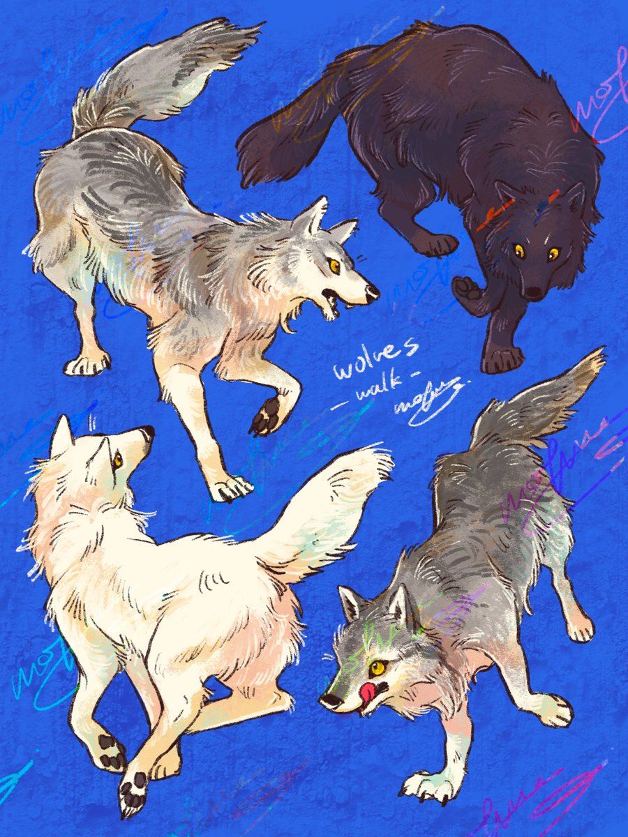 mofuwa🦘オンライン通販準備中🐱 tweet media