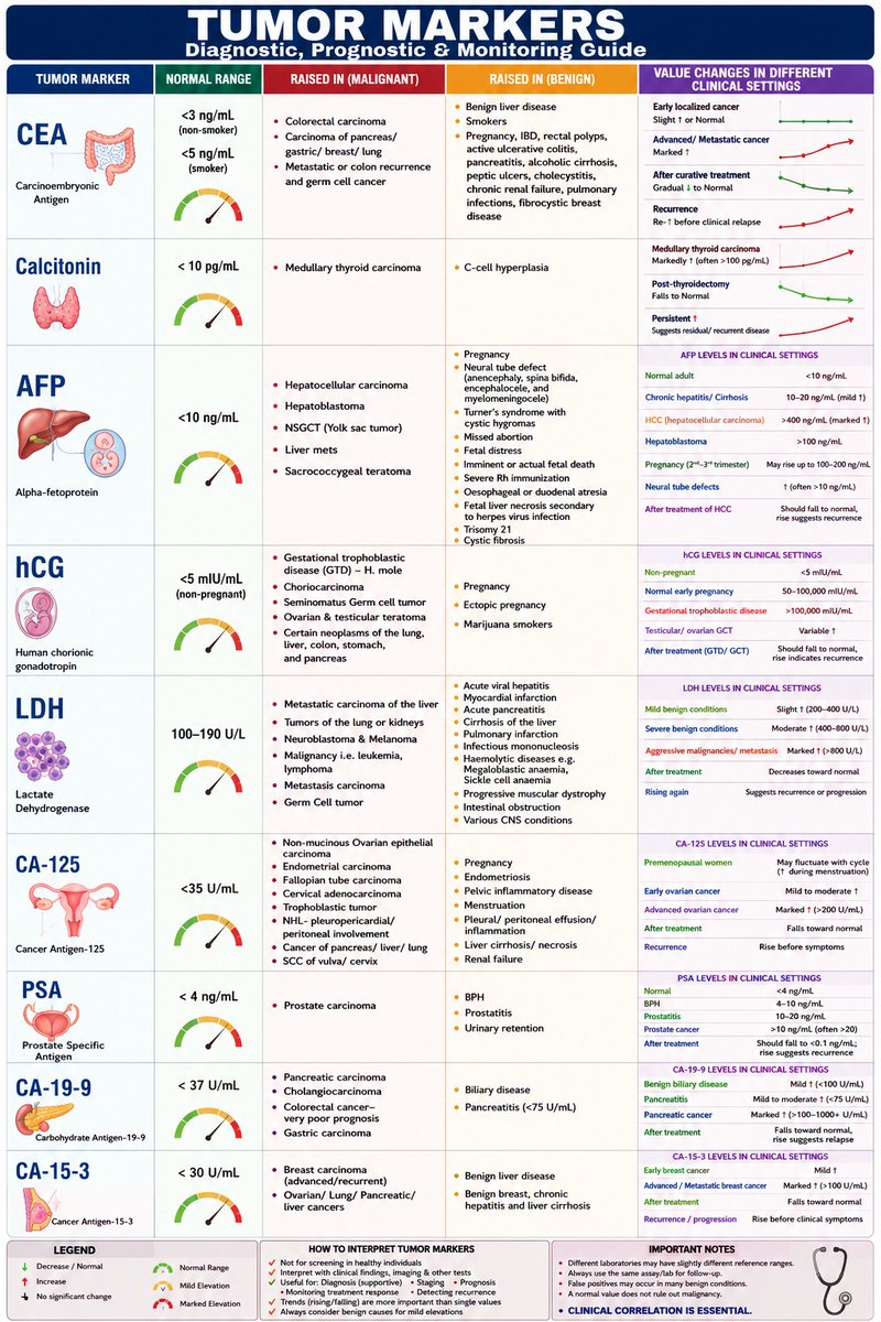 pathognosis22's tweet photo. General brief overview of some well-known #tumor #markers #pathology #serology #immunology #CA125 #CEA #beta_hCG #AFP #PSA #clinics #lab #lab_report #report #pathognosis https://t.co/ilGIGPTakr