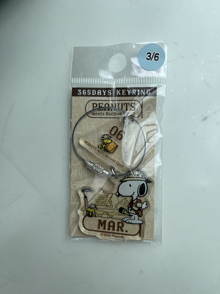 やっぱり3/6は買っちゃいます♡ #古代エジプト展