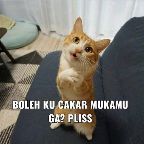 Mas Banyu tweet media
