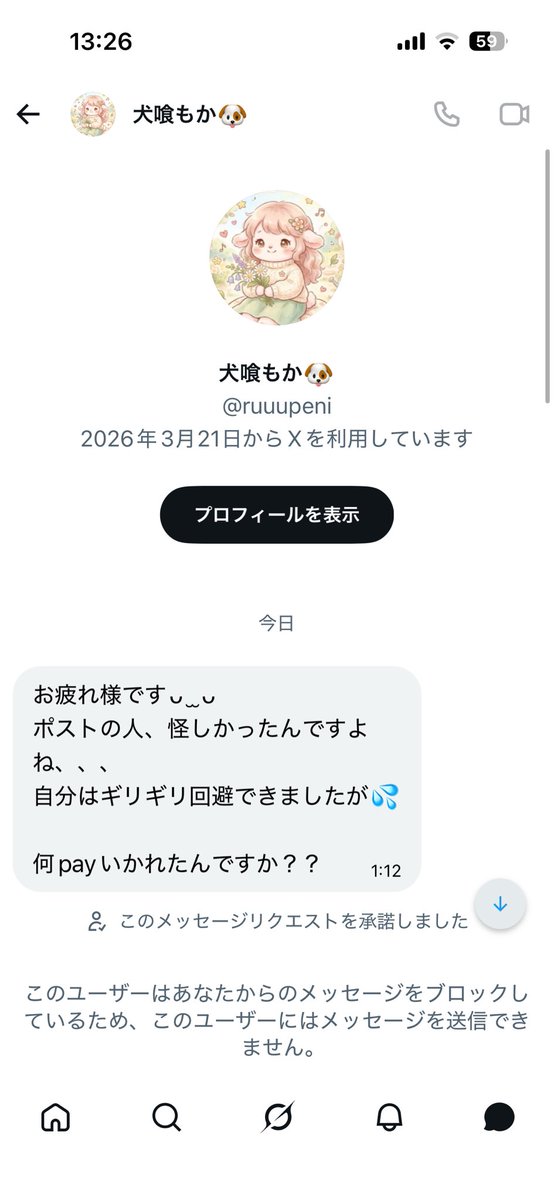 キノピオ【ペニンシュラ】 tweet media
