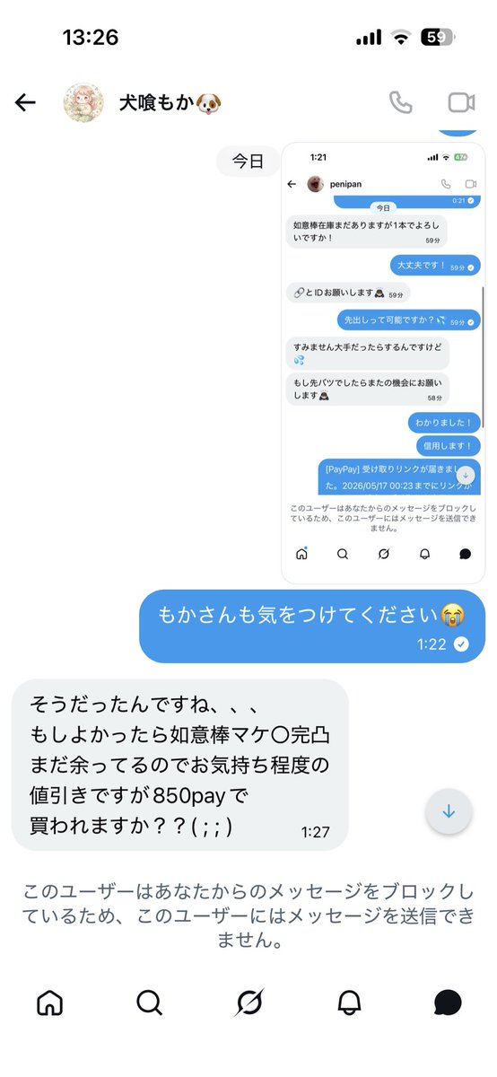 キノピオ【ペニンシュラ】 tweet media
