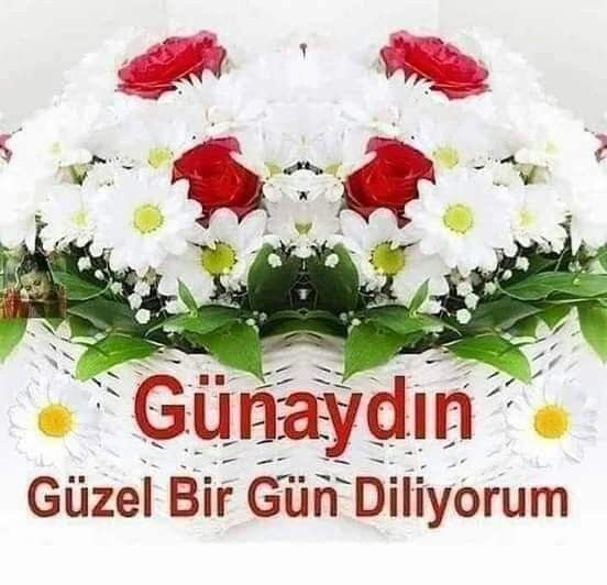İzzet_Krkmz 44 tweet media