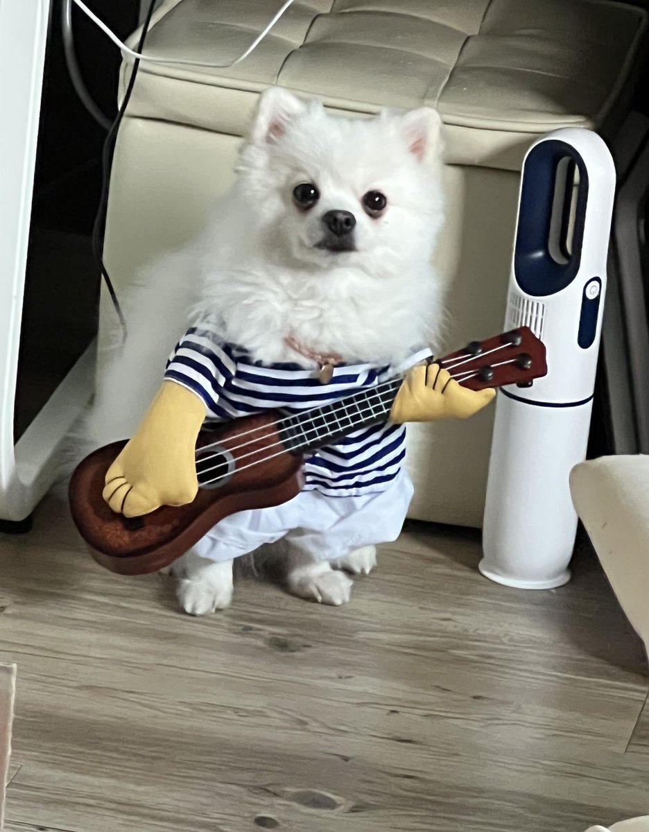 태벽🌿 tweet media
