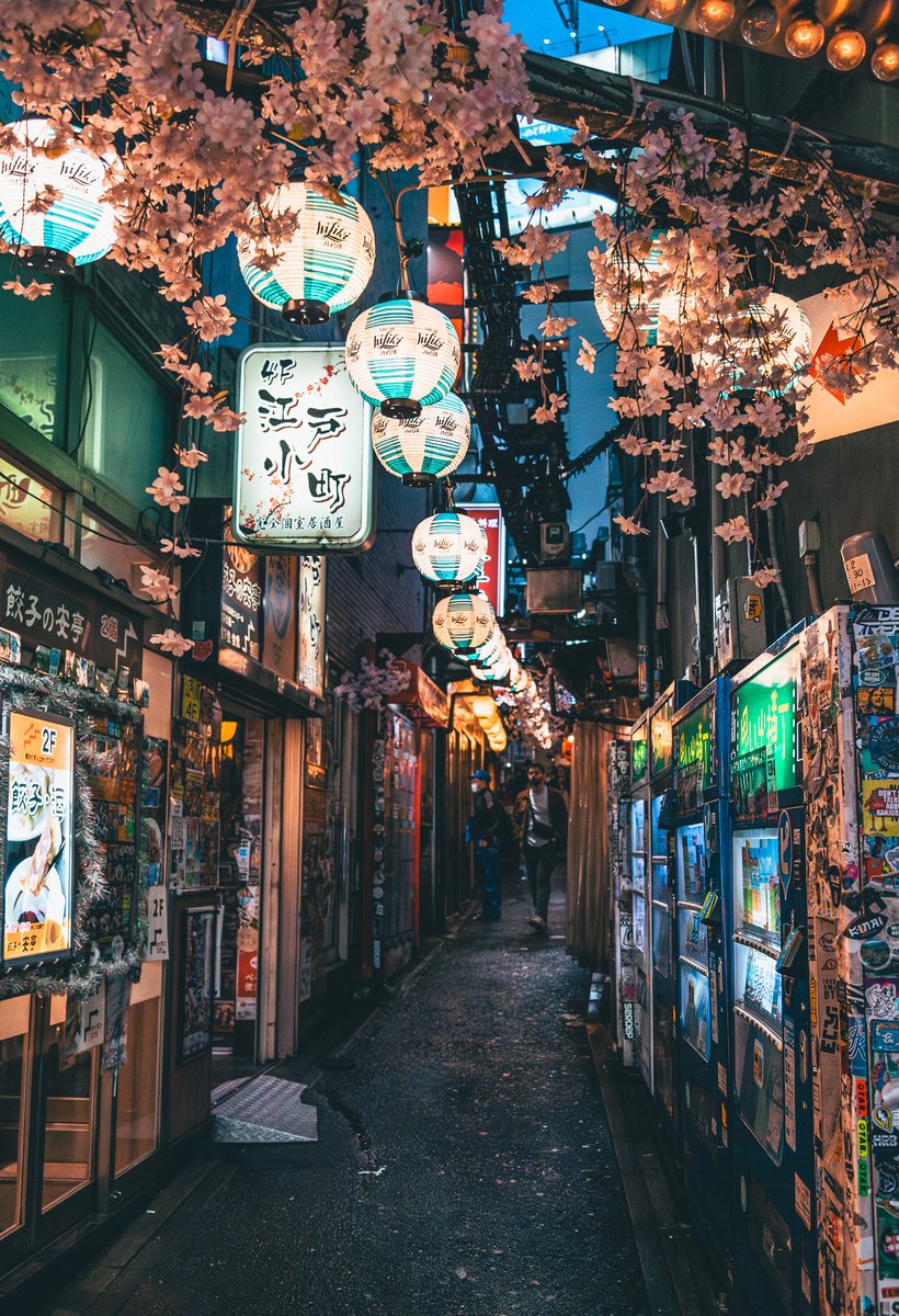 Memory Lane, Tokyo, Japan 🏮🍻 Smokey alleys alive with the scents