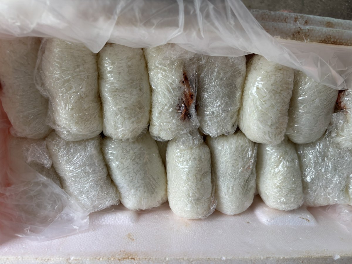 csacKOBE's tweet photo. 12日（火）の小野浜公園・炊き出しはおにぎりとお味噌汁の提供でした。調理の担当はカトリック北須磨教会のみなさん、87名の方の利用がありました。次回は14日（木）12時配食スタートの予定です（12時半まで）。 https://t.co/UsWHmZF2wB