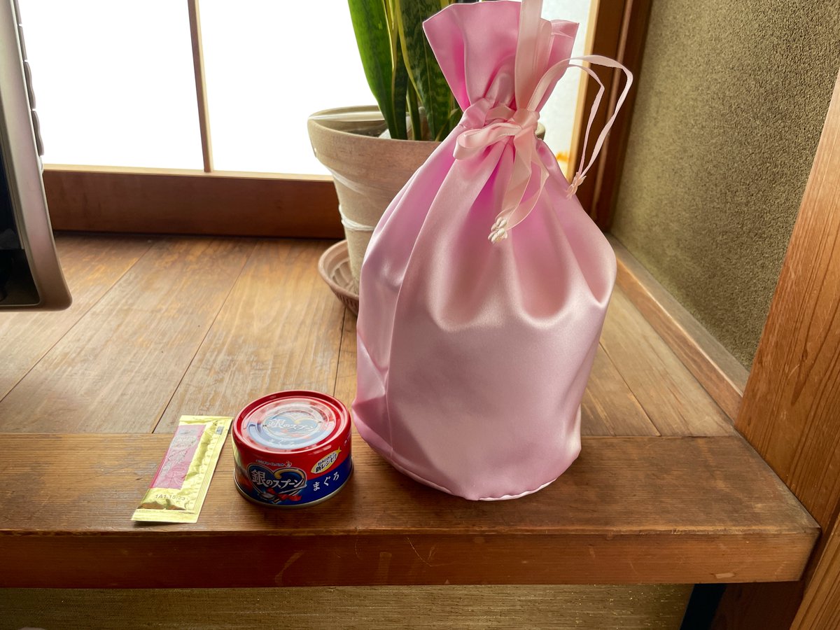 seven77nene's tweet photo. 今までありがとうございました😊
ネネちゃんが5月1日に続いて5月3日に同居の叔母が亡くなり遅くなりました
遅くなりました今のネネちゃんです。 https://t.co/0RwHckQiES