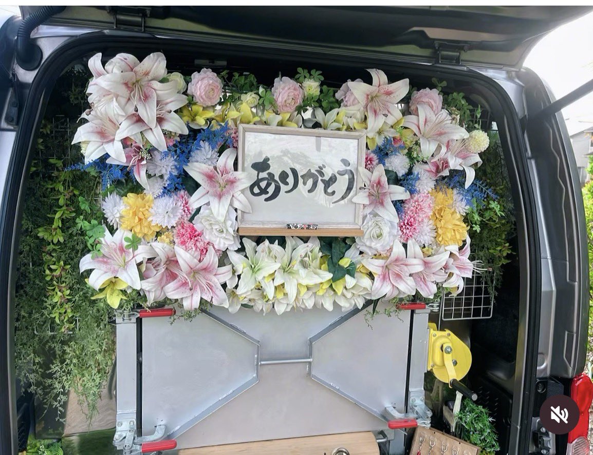 seven77nene's tweet photo. 今までありがとうございました😊
ネネちゃんが5月1日に続いて5月3日に同居の叔母が亡くなり遅くなりました
遅くなりました今のネネちゃんです。 https://t.co/0RwHckQiES