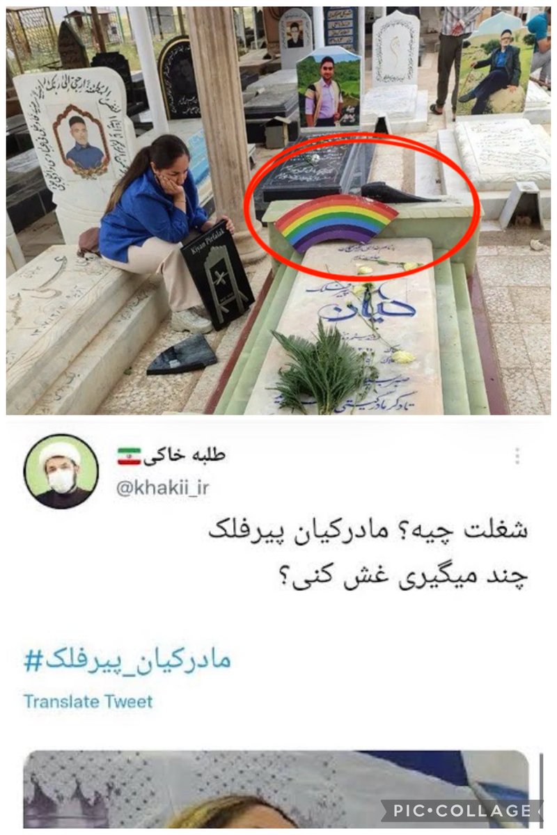 سرباز پهلوی👑 (King Reza Pahlavi) tweet media