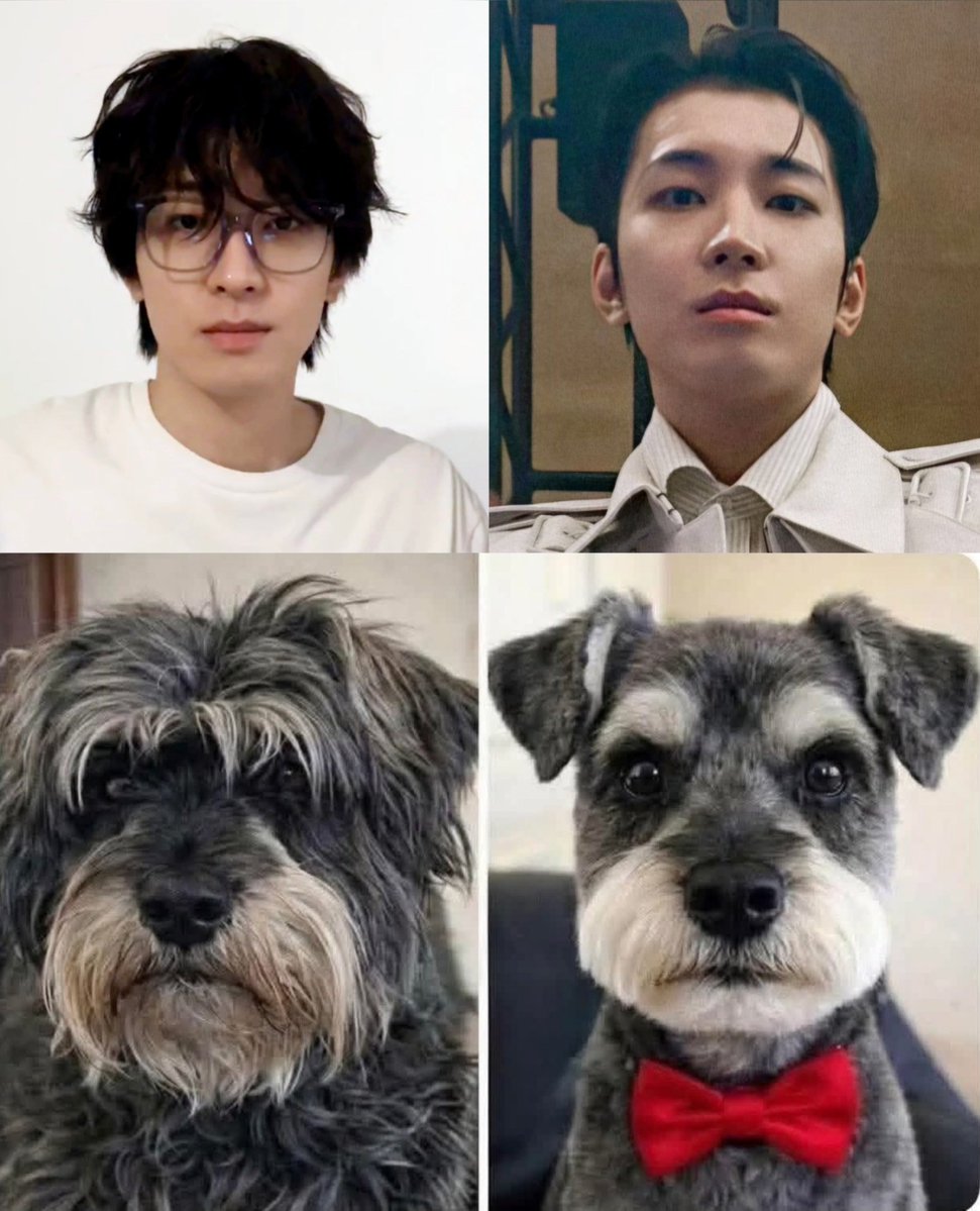 고마워누 tweet media