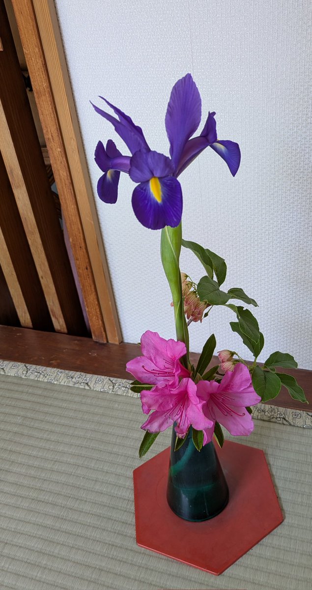 岳温泉 あだたらの宿 扇や tweet media