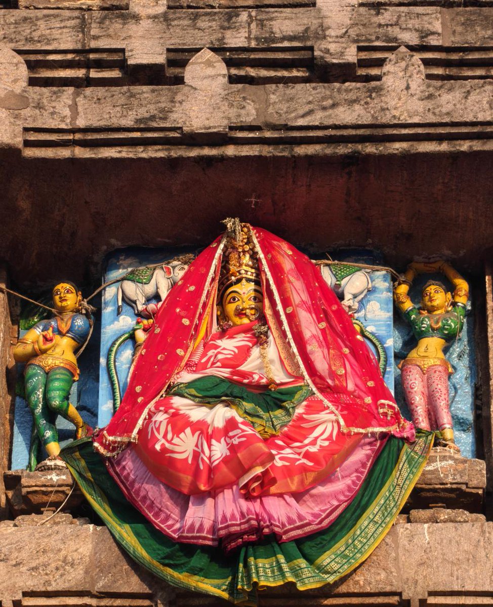 Abhi Sharma Jagannath Puri ଅଭିଷେକ ଶର୍ମା ପୁରୀ tweet media