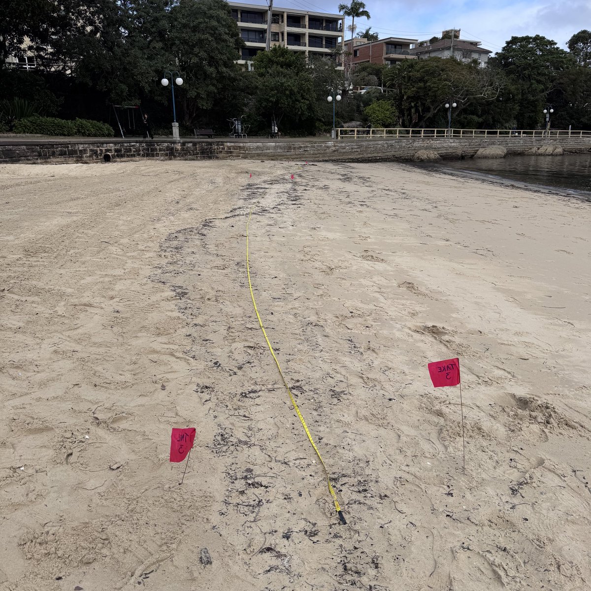 waginski's tweet photo. Down at Manly Cove today with year 7, assessing water quality and microplastics pollution.
A bit wet and windy, but what an office.
Great day as always.
Loved it.
#outdoorEd
#enviroEd https://t.co/2LPxE441y3