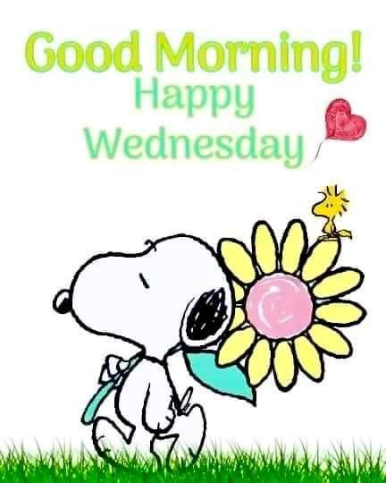 snoopy and friends tweet media