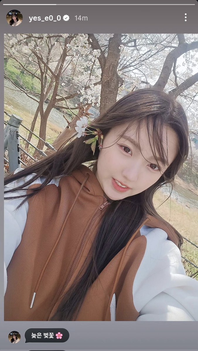 베어🐻💖🐰예서 tweet media