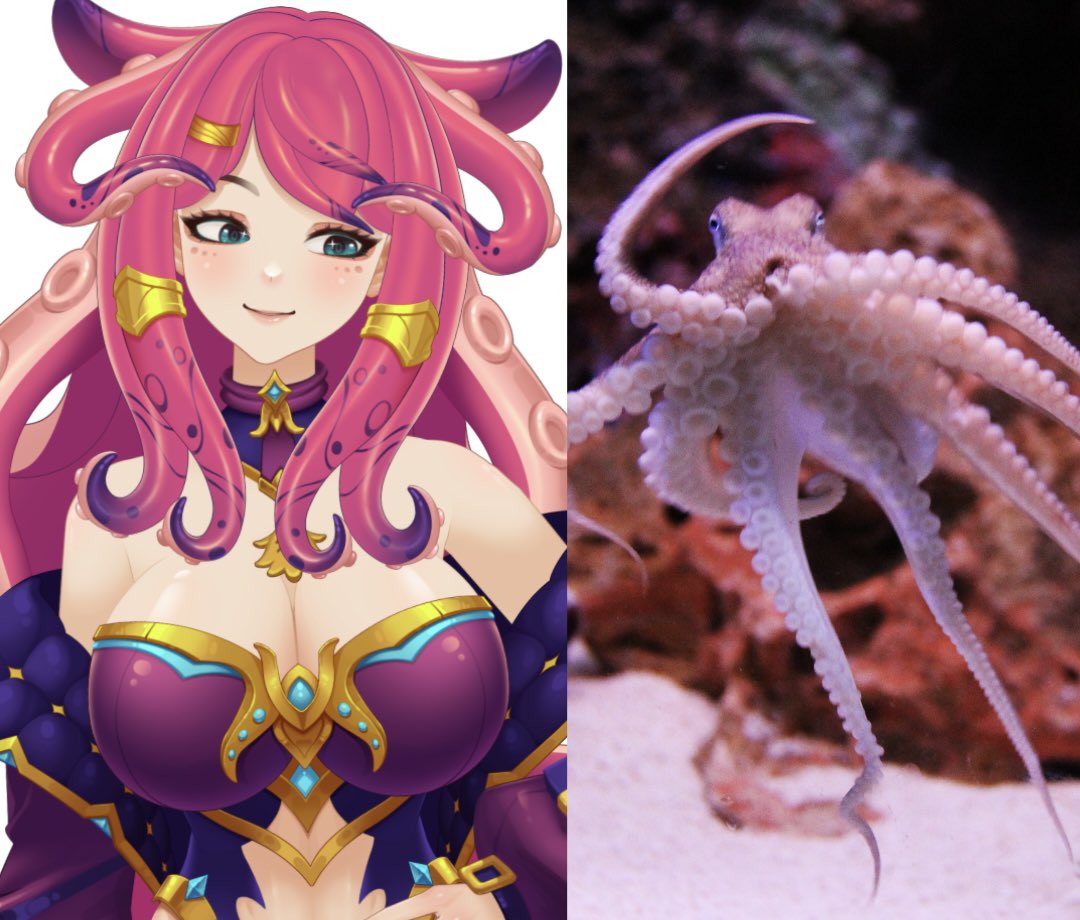 ✨Queen Coco ✨OctoVTuber🐙 tweet media