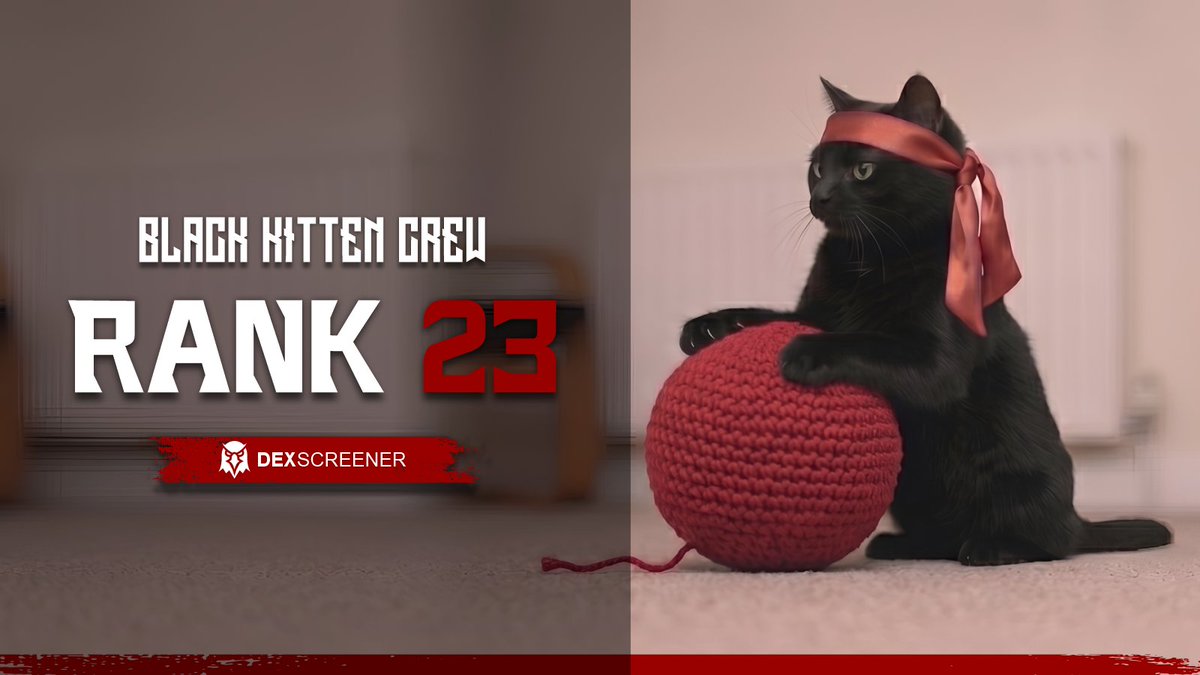 Black Kitten Crew tweet media