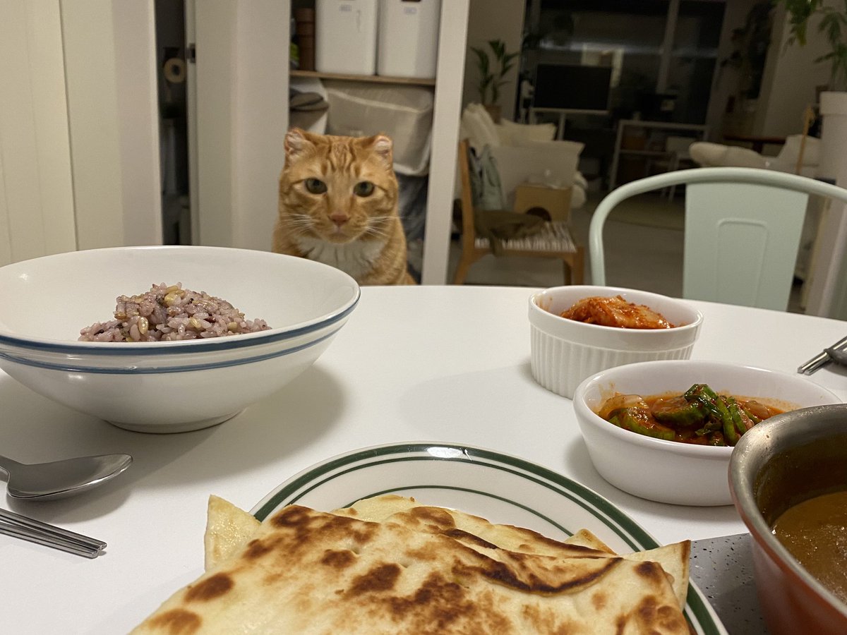 째무 tweet media