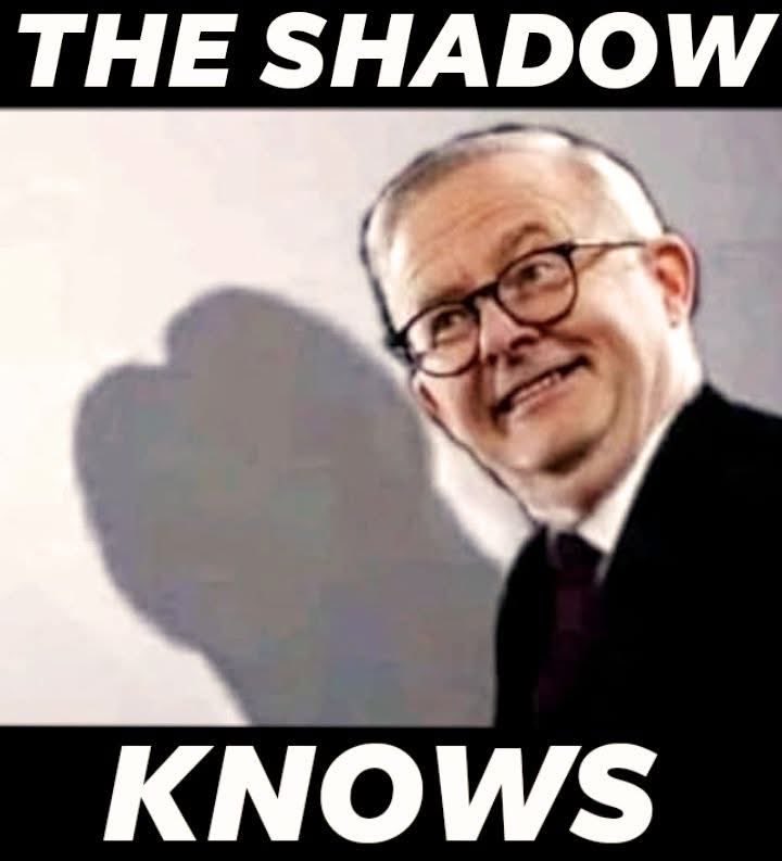 Dragon 🐉 the fire within! tweet media