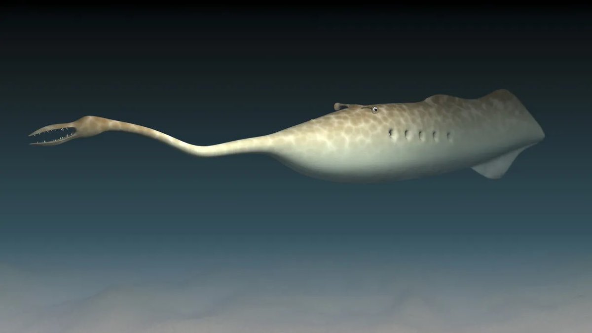 SoppaKsoppak's tweet photo. my spirit is that of a tullimontrum gregarium... give me the body of a squid, size of a whale, eyes of a hammerhead and one crab claw, please.  #borninthewronggeneration https://t.co/YLvafmCNf1