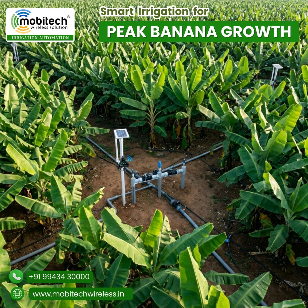 mobitechindia's tweet photo. Every drop matters in Banana cultivation.
With Mobitech Smart Irrigation Automation, your farm gets the right water at the right time automatically. 

🌱 Reduce Water Waste
⚡ Save Power &amp; Labor
📈 Improve Banana Yield

Call us:+91 99434 30000

#mobitech #smartirrigation #banana https://t.co/aKBf0dXu8o