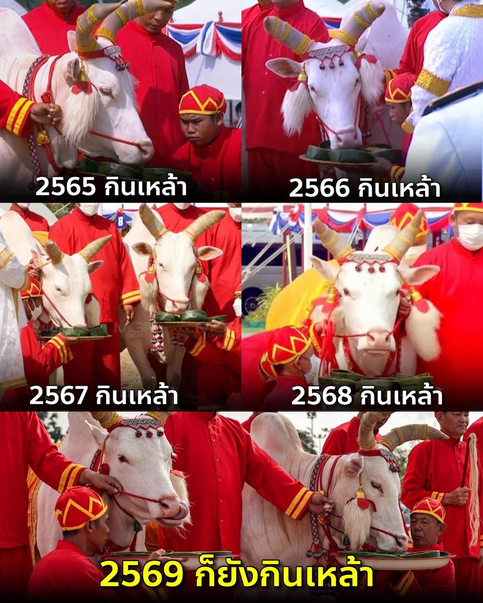 Holic199x's tweet photo. ขอทำนายว่าเมา

 #พระโคเสี่ยงทาย https://t.co/UPgdR6QUAQ